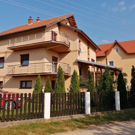 Apartmani Tvins Soko Banja Bagian luar foto