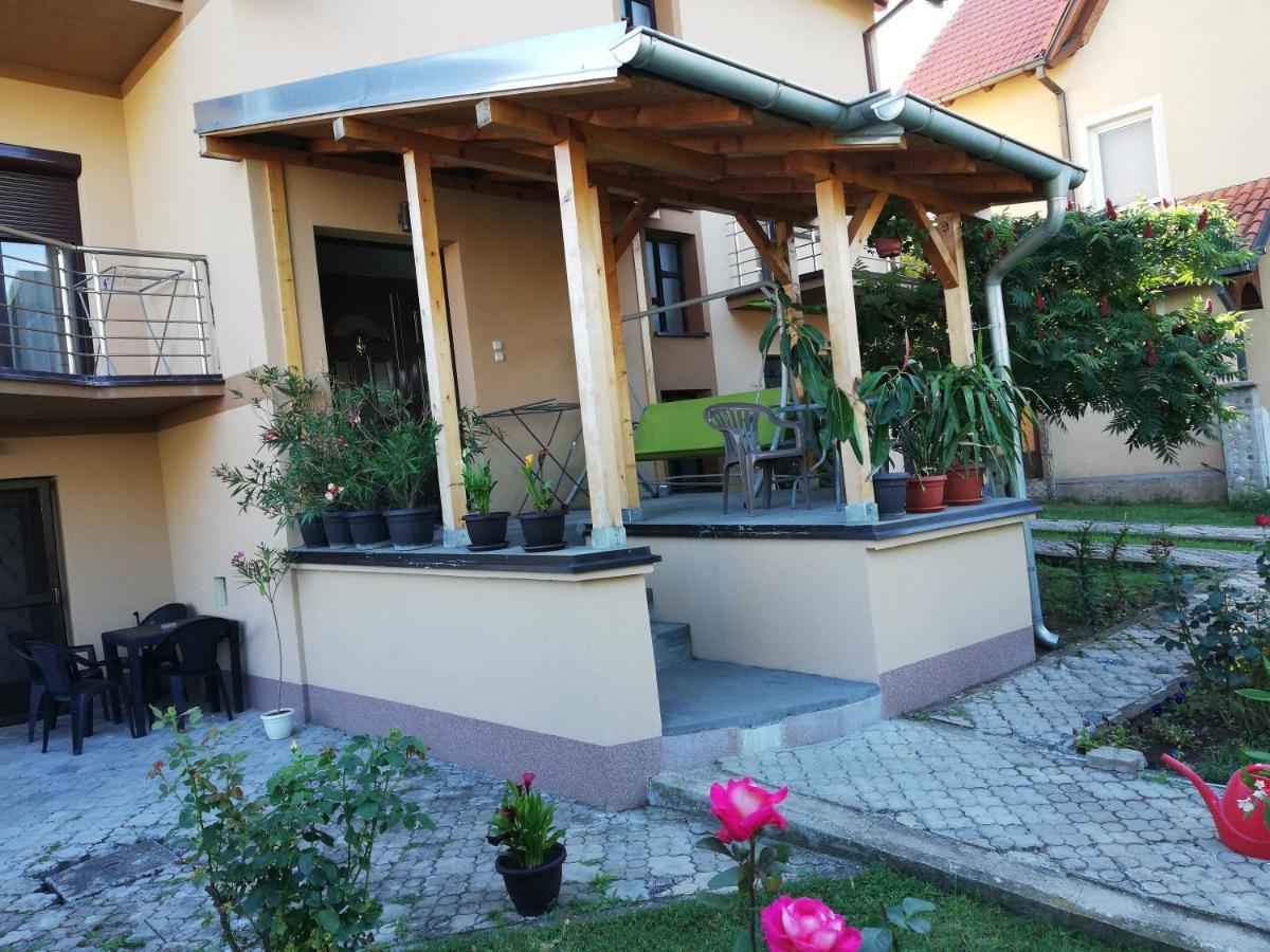Apartmani Tvins Soko Banja Bagian luar foto
