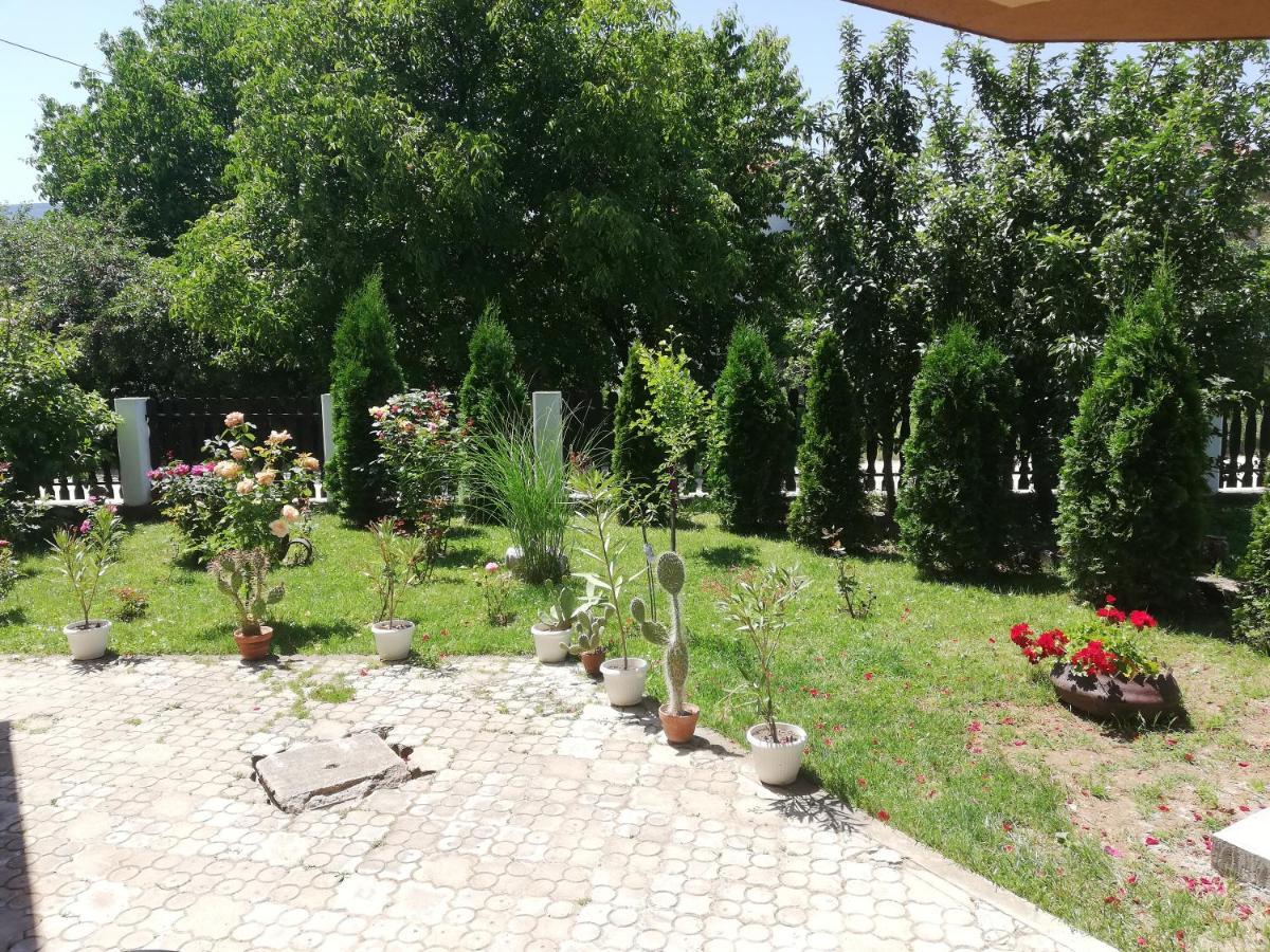 Apartmani Tvins Soko Banja Bagian luar foto