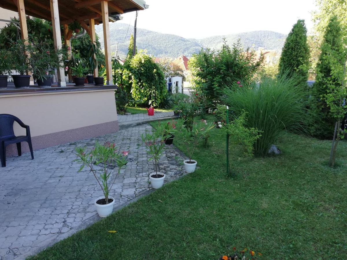 Apartmani Tvins Soko Banja Bagian luar foto