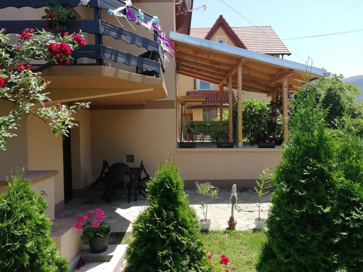 Apartmani Tvins Soko Banja Bagian luar foto