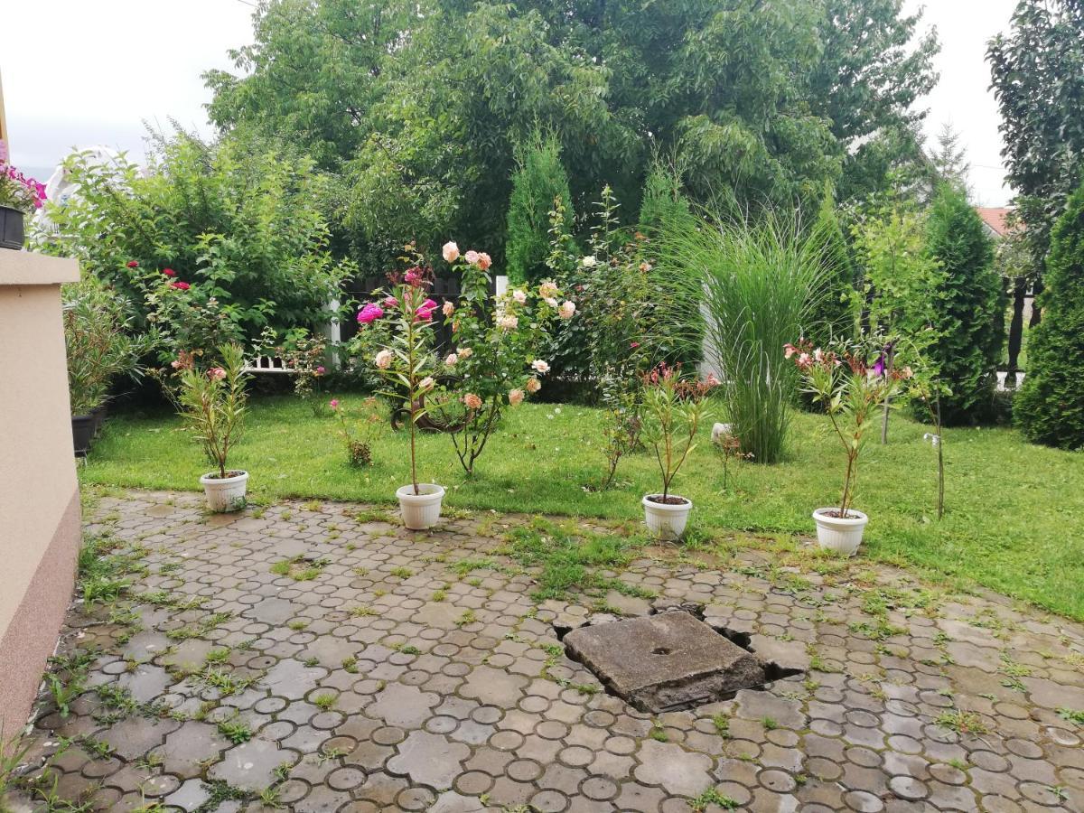 Apartmani Tvins Soko Banja Bagian luar foto