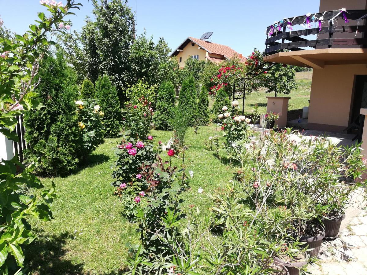 Apartmani Tvins Soko Banja Bagian luar foto