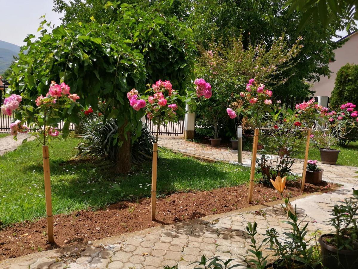 Apartmani Tvins Soko Banja Bagian luar foto