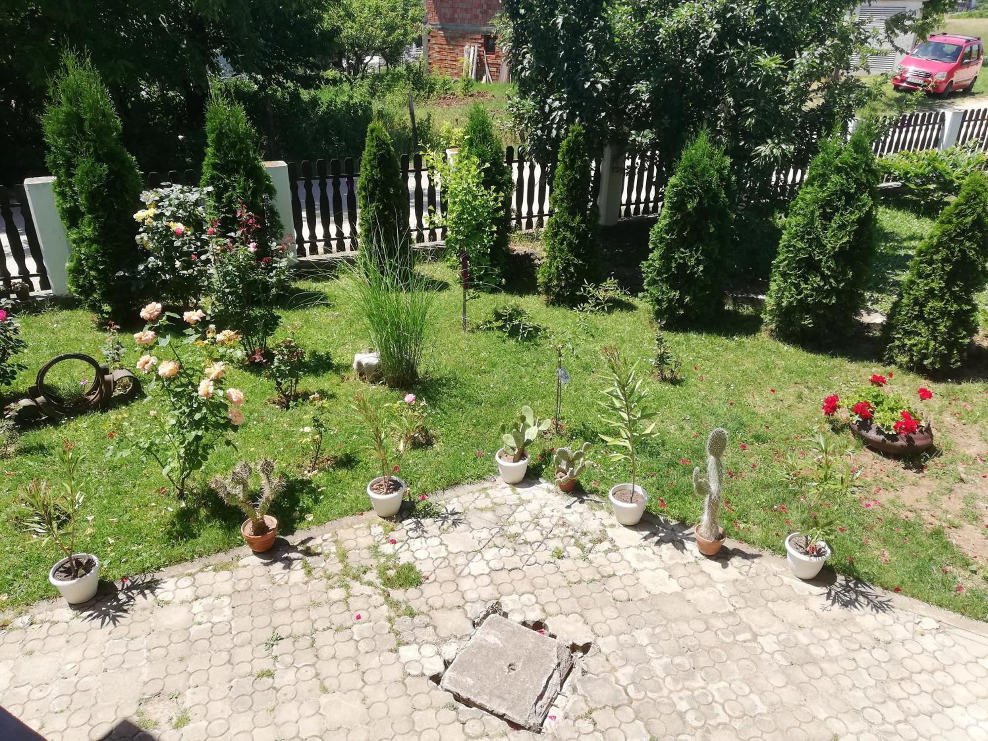 Apartmani Tvins Soko Banja Bagian luar foto